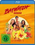 Berk / Schwartz / Braff |  Baywatch Hawaii | Sonstiges |  Sack Fachmedien