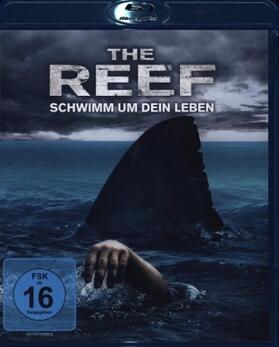 Traucki / Vernon |  The Reef - Schwimm um dein Leben | Sonstiges |  Sack Fachmedien