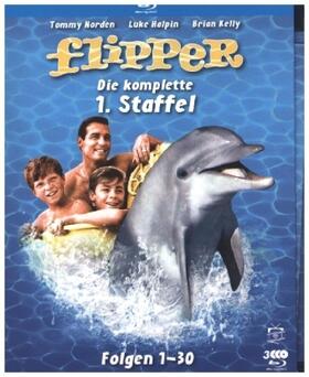 Little / Cowden / Browning |  Flipper | Sonstiges |  Sack Fachmedien
