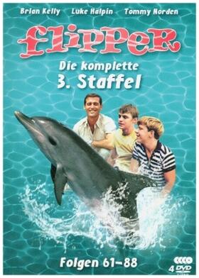 Little / Cowden / Browning |  Flipper | Sonstiges |  Sack Fachmedien