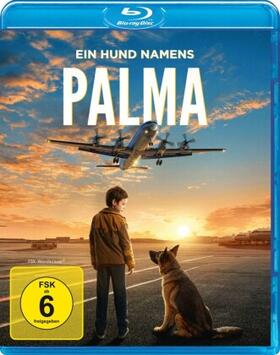 Domogarov / Kazachkov / Mavromatis |  Ein Hund namens Palma | Sonstiges |  Sack Fachmedien
