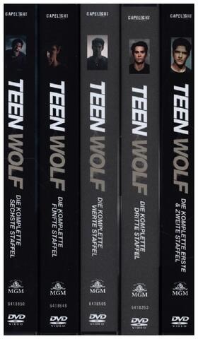 Davis / Harvey / Cochran |  Teen Wolf | Sonstiges |  Sack Fachmedien