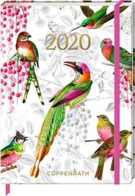  Mein Jahr 2020 - Buchkalender (Bunte Vögel) | Sonstiges |  Sack Fachmedien