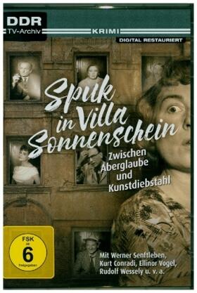  Spuk in Villa Sonnenschein | Sonstiges |  Sack Fachmedien