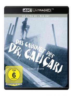 Mayer / Janowitz |  Das Cabinet des Dr. Caligari | Sonstiges |  Sack Fachmedien