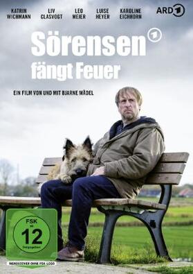 Stricker |  Sörensen fängt Feuer | Sonstiges |  Sack Fachmedien