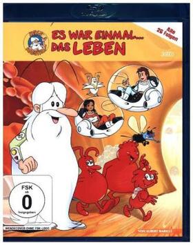 Barillé |  Es war einmal... Das Leben | Sonstiges |  Sack Fachmedien