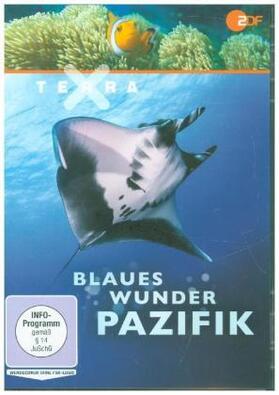  Terra X: Blaues Wunder Pazifik | Sonstiges |  Sack Fachmedien