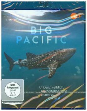  Big Pacific | Sonstiges |  Sack Fachmedien