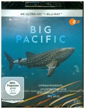  Big Pacific | Sonstiges |  Sack Fachmedien