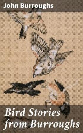 Burroughs |  Bird Stories from Burroughs | eBook | Sack Fachmedien