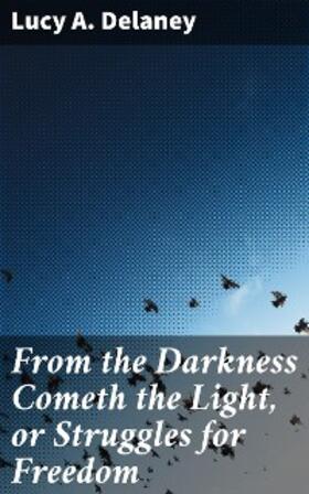 Delaney |  From the Darkness Cometh the Light, or Struggles for Freedom | eBook | Sack Fachmedien