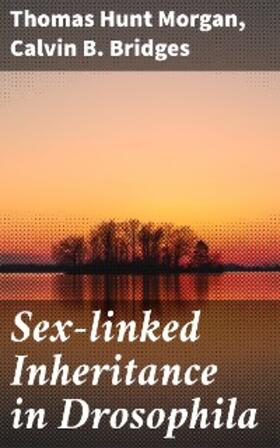 Morgan / Bridges |  Sex-linked Inheritance in Drosophila | eBook | Sack Fachmedien