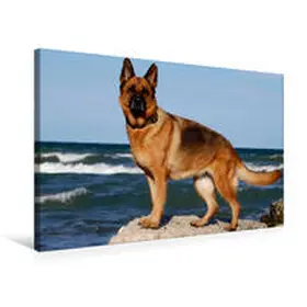 CALVENDO |  Premium Textil-Leinwand 75 cm x 50 cm quer, Sommerglück am Meer | Wandbild, Bild auf Keilrahmen, Fertigbild auf echter Leinwand, Leinwanddruck | Sonstiges |  Sack Fachmedien
