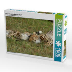 Herzog | Geparden beim Mittagsschlaf 1000 Teile Puzzle quer | Sonstiges | 405-947869115-5 | sack.de