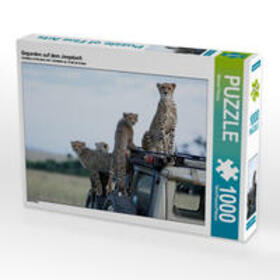Herzog | Geparden auf dem Jeepdach 1000 Teile Puzzle quer | Sonstiges | 405-947869133-9 | sack.de