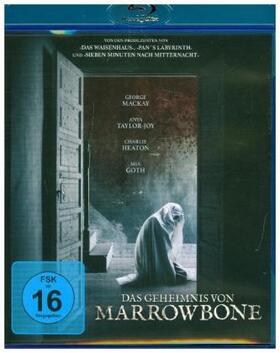 Sánchez |  Das Geheimnis von Marrowbone | Sonstiges |  Sack Fachmedien