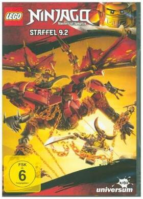 Hageman / Thomas |  LEGO Ninjago: Masters of Spinjitzu | Sonstiges |  Sack Fachmedien