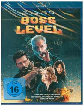 Borey / Carnahan |  Boss Level | Sonstiges |  Sack Fachmedien