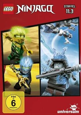 Hageman / Thomas |  LEGO Ninjago: Masters of Spinjitzu | Sonstiges |  Sack Fachmedien