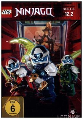 Hageman / Thomas |  LEGO Ninjago: Masters of Spinjitzu | Sonstiges |  Sack Fachmedien