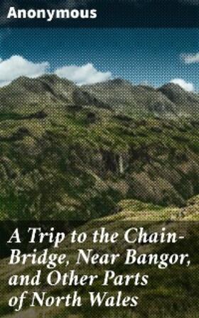Anonymous |  A Trip to the Chain-Bridge, Near Bangor, and Other Parts of North Wales | eBook | Sack Fachmedien