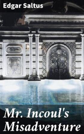 Saltus |  Mr. Incoul's Misadventure | eBook | Sack Fachmedien