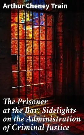 Train |  The Prisoner at the Bar: Sidelights on the Administration of Criminal Justice | eBook | Sack Fachmedien