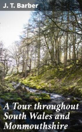 Barber |  A Tour throughout South Wales and Monmouthshire | eBook | Sack Fachmedien