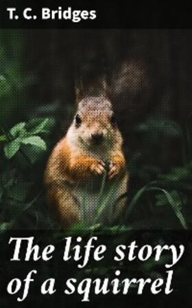 Bridges |  The life story of a squirrel | eBook | Sack Fachmedien