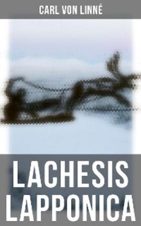 Linné |  Lachesis Lapponica | eBook | Sack Fachmedien