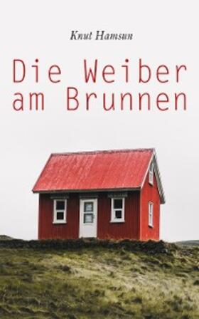 Hamsun |  Die Weiber am Brunnen | eBook | Sack Fachmedien