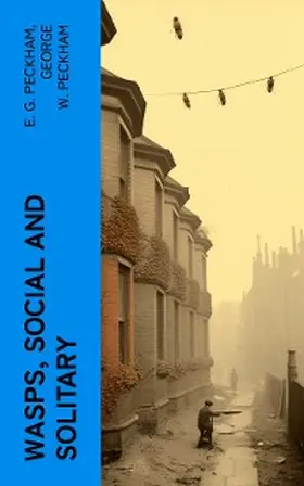 Peckham |  Wasps, Social and Solitary | eBook | Sack Fachmedien
