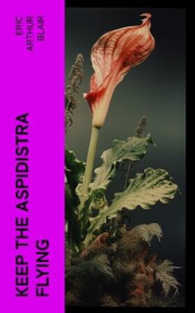 Blair |  Keep the Aspidistra Flying | eBook | Sack Fachmedien