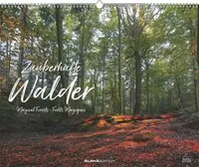 Neumann |  ALPHA EDITION - Zauberhafte Wälder 2026 - 52 x 42,5 cm | Sonstiges |  Sack Fachmedien