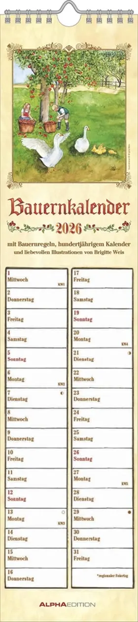  Streifenplaner Bauernkalender 2026 - Streifen-Kalender 11,3x49x5 cm - mit 100-jährigem Kalender und Bauernregeln - Wandplaner - Alpha Edition | Sonstiges |  Sack Fachmedien