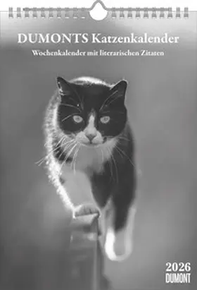 Schmidt |  DUMONTS Katzenkalender | Sonstiges |  Sack Fachmedien