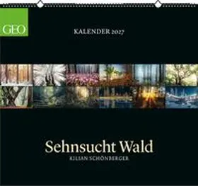 GEO Kalender: Sehnsucht Wald 2027 | Sonstiges | 406-909501356-8 | www.sack.de