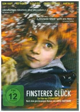 Hartmann / Haupt |  Finsteres Glück | Sonstiges |  Sack Fachmedien