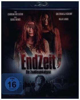 Vieweg |  Endzeit | Sonstiges |  Sack Fachmedien