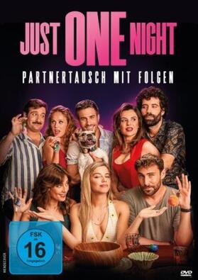 Bellver / Buchaca / Halphen |  Just One Night - Partnertausch mit Folgen | Sonstiges |  Sack Fachmedien