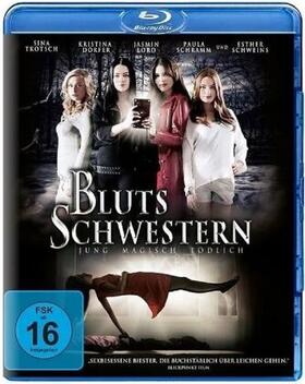 Lehmann |  Blutsschwestern - jung, magisch, tödlich | Sonstiges |  Sack Fachmedien