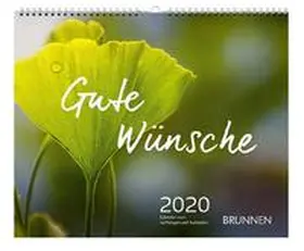 Lechner |  Gute Wünsche 2020 | Sonstiges |  Sack Fachmedien