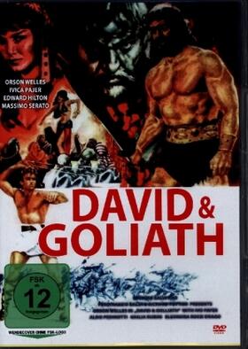 Mangini / Molteni / Salvi |  David & Goliath | Sonstiges |  Sack Fachmedien