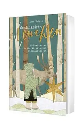  Weihnachtsleuchten - Postkartenset | Sonstiges |  Sack Fachmedien