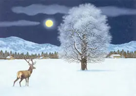 Müller |  Zauberhafte Winternacht  Adventskalender | Sonstiges |  Sack Fachmedien