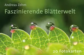 Zehm |  Postkartenbuch "Faszinierende Blätterwelt" | Sonstiges |  Sack Fachmedien