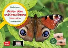 Lehner |  Ameise, Biene und Schmetterling. Unsere Insekten. Kamishibai Bildkarten und Memo-Spiel. | Sonstiges |  Sack Fachmedien