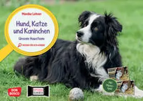 Lehner |  Hund, Katze und Kaninchen. Unsere Haustiere. Kamishibai Bildkarten und Memo-Spiel | Sonstiges |  Sack Fachmedien