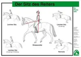  Der Sitz des Reiters | Sonstiges |  Sack Fachmedien